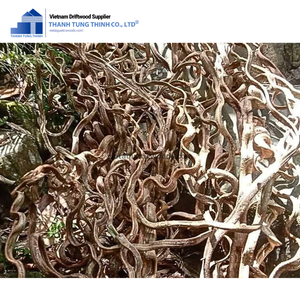 Meilleure vente Plantes d'aquarium écologiques Bois flotté de mangrove Acheteurs internationaux Fabriqué au Vietnam - Product Image 5