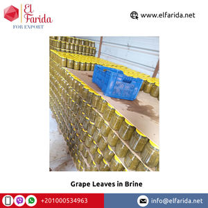 Exportador Mundial de Hojas de Parra en Salmuera de la Mejor Calidad para Exportación a Granel |   Proveedor de Hojas de Parra Egipcias - Product Image 3