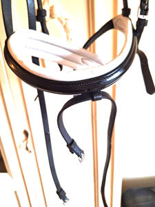 Cheval VERT OCEAN Bride rembourrée 6mm Crystal BLING Curve Comfort - Product Image 4