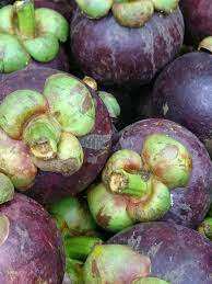 Mangoustan thaïlandais biologique Fraîchement récolté Riche Goût sucré et juteux Haute teneur en antioxydants Fruit de la passion Noix de coco Saveur similaire - Product Image 6