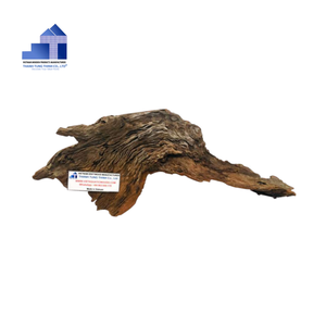 Producto caliente Eco-Friedly Durable Decoración natural Acuario Plantas Accesorios al por mayor de un fabricante vietnamita - Product Image 6