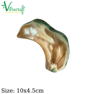 Plato de especias único Hecho de concha de nácar natural Plato de sal, plato de azúcar, plato de salsa de soja Decorar la mesa de comedor Regalo genuino - Product Image 6