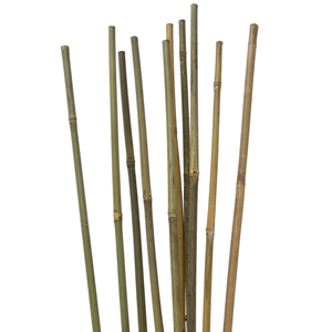 Palo de bambú Natural y Flexible 100% para jardín, 60cm, soporte de flores para plantas de jardín, palo de caña profesional, Estaca de poste - Product Image 5