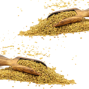 Alfalfa | Widely Used in <b>Hydroponics</b> and Agriculture - Product Image 4