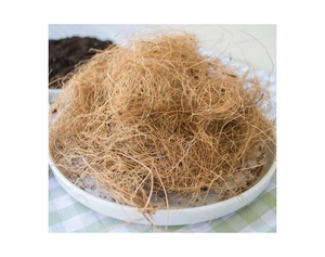 Pot de coco en fibre de coco/pot de fleur en fibre de coco de haute qualité et entièrement naturel/prix tourbe de coco par Eco2go - Product Image 2