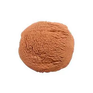 Manufacturer Supply Pure Coconut Shell Powder Coconut Cream Powder Coconut Powder
