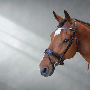 Brida ecuestre de cuero italiano con tocado anatómico y banda de cristal Smart Horses' Popular Horse Product Soft Padding - Product Image 3