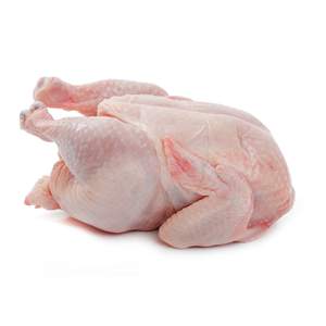 Pollo Entero Congelado Halal de Primera Calidad con Partes del Cuerpo en Empaque a Granel a Precio Más Bajo - Product Image 2