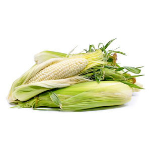 Granos de maíz blanco de calidad para pedidos al por mayor, preparados para ofertas de suministro a gran escala - Product Image 2