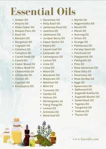 Extracto de cáscara de aceite esencial de mezcla Natural amarga de naranja con aroma fresco dulce y edificante para el cuidado del cabello, perfumería, uso de aromaterapia - Product Image 3