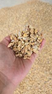 Mini Crumbs Damar Batu Meilleure Qualité Résine De Gomme Damar Batu Naturelle De Thaïlande-Produit Agricole Naturel - Product Image 6