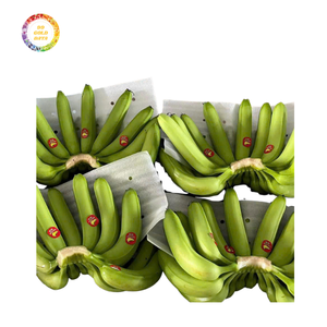 กล้วย Cavendish พรีเมี่ยมจากเวียดนาม-อายุการเก็บรักษาที่ยาวนานราคาไม่แพงเหมาะสำหรับผู้นำเข้าทั่วโลก - Product Image 1