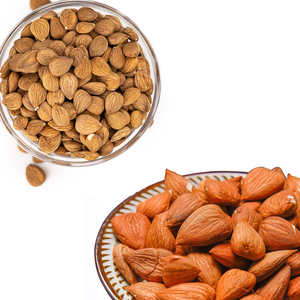 Núcleos de Albaricoque Grado A1, Vida Útil de 3 Años |   Popular en los mercados de Oriente Medio y Asia |   Kohenoor International - Product Image 2