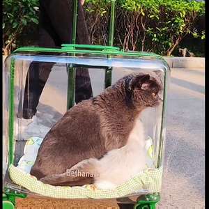 50cm geniş ve büyük kapasiteli dilsiz tekerlekler şeffaf kedi köpek arabası tekerlekler kedi yavru bagaj kutuları Pet bavul taşıyıcı - Product Image 4