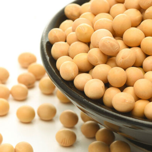 Fournisseur de soja sans OGM conforme HACCP et prêt pour l'exportation - Product Image 6