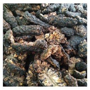 ผลไม้ noni แห้งบรรจุเป็นกลุ่มแพ็คสูญญากาศผลไม้ซอยแห้งรูปร่างต่างๆสำหรับทำชาจาก99 GD ด้วยราคาที่ดีที่สุด - Product Image 1