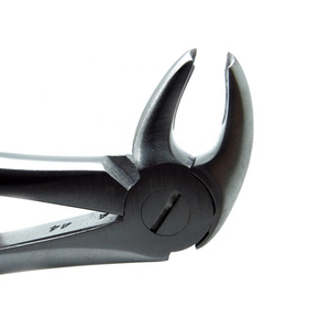 Juego de fórceps de extracción de dientes con patrón inglés Instrumentos dentales Molares izquierdos con fórceps de extracción de acero inoxidable - Product Image 5