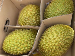 Durian Vietnamita Estándar Premium Congelado Sin Semillas - Product Image 6