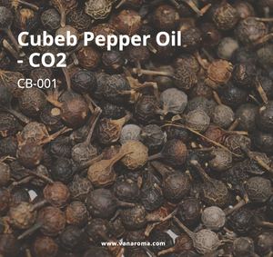 Aceite Esencial Puro de Pimienta Cubeba - CO2 (CB-001) Van Aroma - Product Image 1