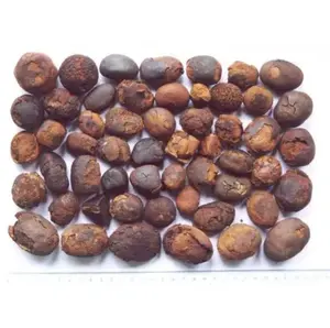 Affordable 100% Pure Natural Cow Gallstone supplier world-wide Cheap Price
