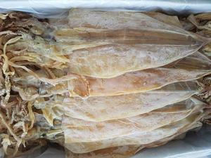 SQUID SÉCHÉ DE QUALITÉ SUPÉRIEURE EN DIFFÉRENTES TAILLES DU VIET NAM À BON PRIX - Product Image 4