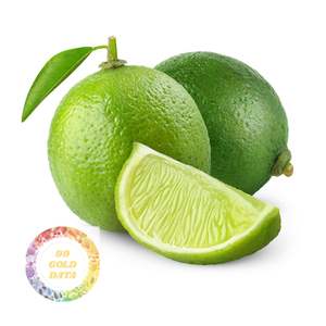 PREMIUM EXPORTATION FRAIS SANS GRAINES LIME VIETNAM FRUIT VERT MEILLEUR PRIX FOURNISSEUR POUR LE MARCHÉ MONDIAL - Product Image 5