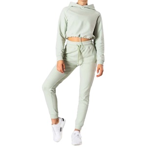 Sudaderas de gimnasio recortadas de algodón para mujer, sudaderas con capucha de Fitness de menta polvorienta con logotipo frontal bordado, diseño limpio ajustable hecho de seda - Product Image 3