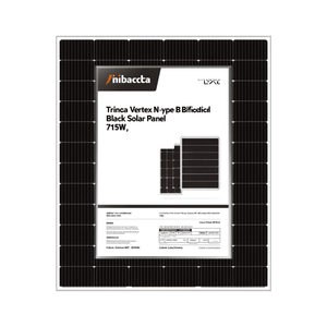 Panel Solar Bifacial Negro Trina Vertex N-Type HJT de 715W - Product Image 2