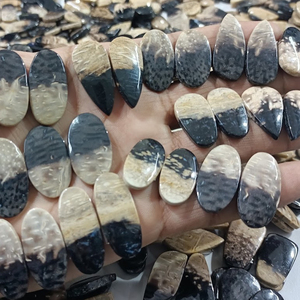 Par de raíces de Palma Piedras preciosas Pares de ágata de raíz de Palma combinados Piedras preciosas sueltas para pendientes - Product Image 2