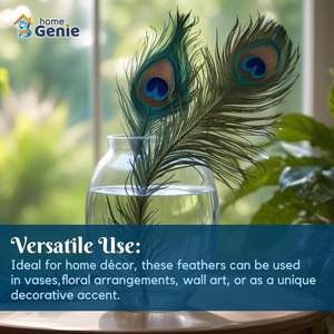 Home Genie Plumes de paon naturelles 10 à 12 pouces (paquet de 10) pour la décoration intérieure, l'artisanat et l'utilisation spirituelle - Product Image 4