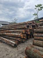 Industrial Style Solid Pine Wood Panels for Hotel Construction & Wall Panels-Factory Direct Made in Thailand