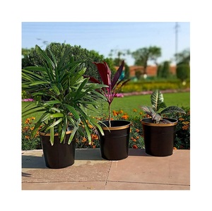 ชุดเครื่องปลูกสแตนเลส 2 ชิ้นพร้อมขาตั้งตกแต่งห้องนั่งเล่นที่ไม่ซ้ํากันหม้อพืชสมุนไพรคอนเทนเนอร์สําหรับใช้ในสวน - Product Image 6