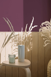 สีกระจายภายในระดับพรีเมียมสีม่วงเข้มเป็นมิตรกับสิ่งแวดล้อมสีเคลือบผนังหรูหรา-5ลิตรผลิตจากเยอรมัน - Product Image 3