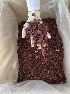 ผ้าพันคอและผ้าคลุมไหล่ลายชนเผ่าแบบผ้าแคนวาส ประดับด้วยดอกชบาอียิปต์แห้งคุณภาพสูง พร้อมลวดลายโบว์ - Product Image 4