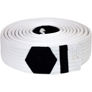 Vente en gros OEM Ceintures d'entraînement de judo unisexes personnalisées de haute qualité Nouveau style d'équipement d'arts martiaux - Product Image 1