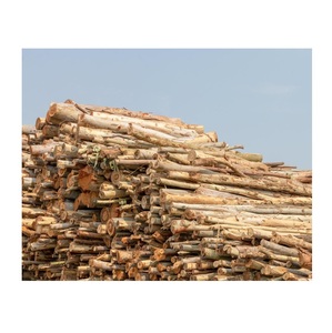 Export Quality Eucalyptus Wood <b>Logs</b> - Sawn, Planed, and Kiln-Dried - Product Image 2
