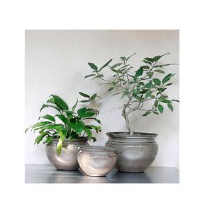 Maceta de forma personalizada de nuevo diseño, diseño fabuloso, decoración del hogar, decoración de jardín, platos de Metal a buen precio - Product Image 1