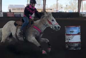 Ensemble de têtière et de poitrail de cheval de qualité supérieure |   Équipement d'équitation durable, confortable et élégant pour l'équitation et l'entraînement au meilleur prix - Product Image 5