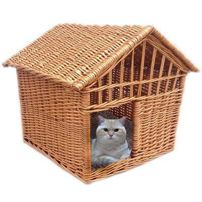 ธรรมชาติ