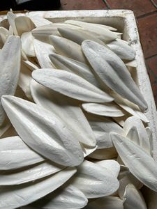 OS DE SEICHE SÉCHÉ pour OISEAU-ALIMENTS POUR ANIMAUX À EXPORTER-99 GOLD DATA - Product Image 6