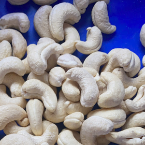 Gran oferta 2025 anacardos crudos anacardos blancos exportación anacardos Reday para enviar - Product Image 1