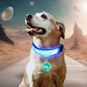 Collare per Animali Domestici Moderno e Lussuoso con Luce LED e Sfera Luminosa, Guinzaglio in Nylon e Poliestere con Stampa Sostenibile - Product Image 1