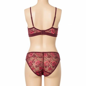 Ropa interior transpirable bordada para mujer, bragas de malla de encaje, lencería transparente de tela suave para mujer, uso diario - Product Image 3