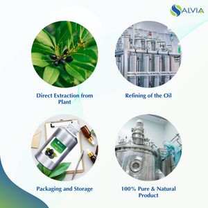 Huile de baies de laurier Huile 100% pure et naturelle Vente en gros Prix le plus bas Emballage personnalisé - Product Image 4