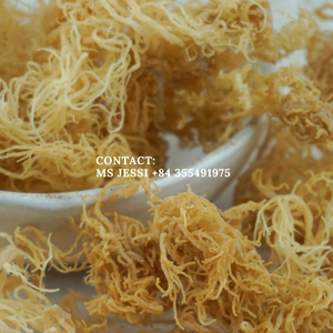 Mousses marines séchées 100% naturelles / Algues marines Golden & Purple Cottonii / Mme Jessi - Product Image 5