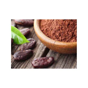 Hot Sale Biscuit Raw Materials Dutch Alkalised Cocoa Powder