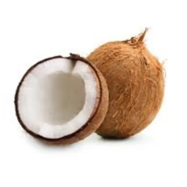 [핫 세일 2022] 베트남 학년 말린 전체 성숙한 또는 반 껍질 코코넛 100% 유기농 높은 품질과 경쟁력있는 가격