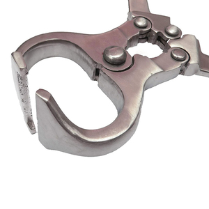 Instrumentos de Castración Veterinaria de Alta Calidad para Ganado y Procedimientos Quirúrgicos Animales – Herramientas Agrícolas Duraderas de Acero Inoxidable - Product Image 5