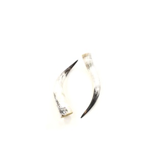 Par de cuernos de búfalo sin pulir búfalo natural Tamaño personalizado natural áspero par de cuernos de búfalo para gran oferta - Product Image 6