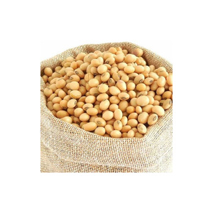 Đậu tương chất lượng cao không biến đổi gen, nguồn cung lớn nhất và cung cấp toàn cầu cho thị trường tốt nhất/ Hạt giống đậu tương - Product Image 4